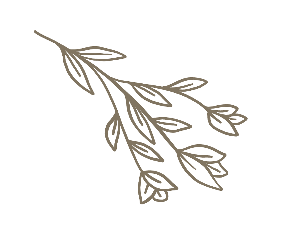 Bladeren-2